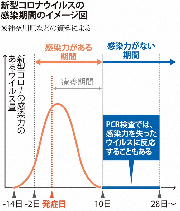 阪神 4 番