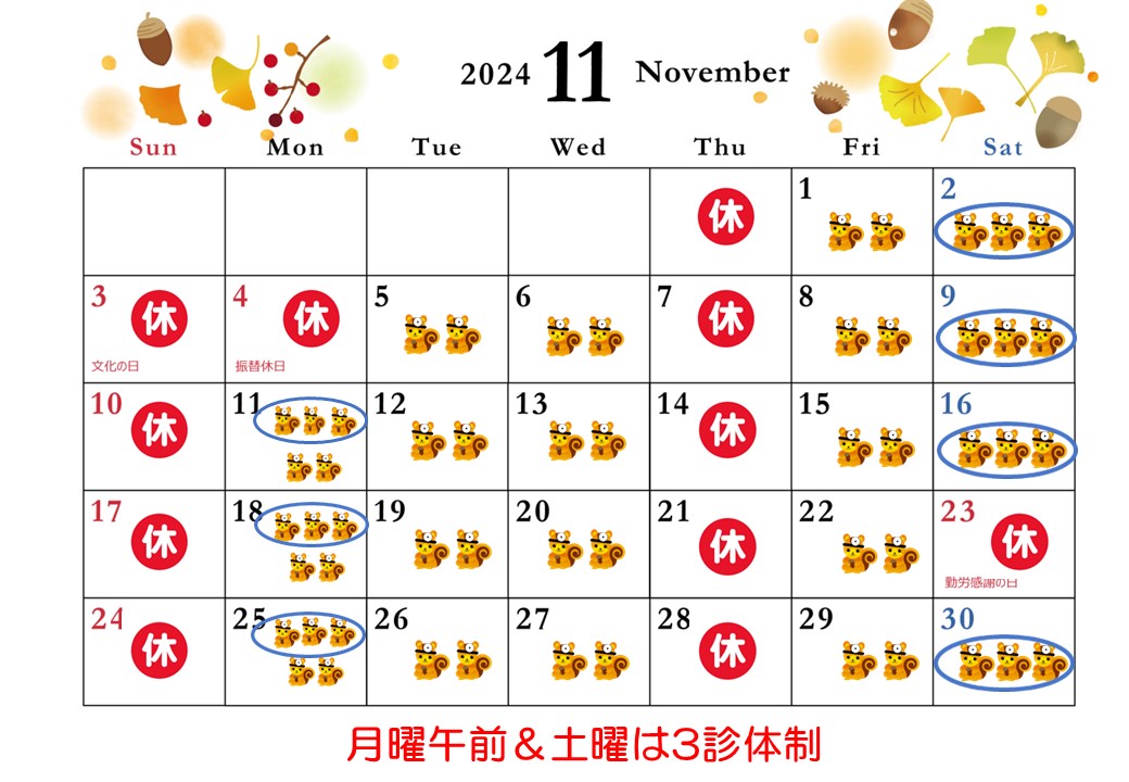 11月診察カレンダー